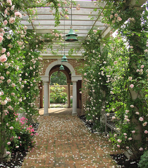 Roses surround an archway.